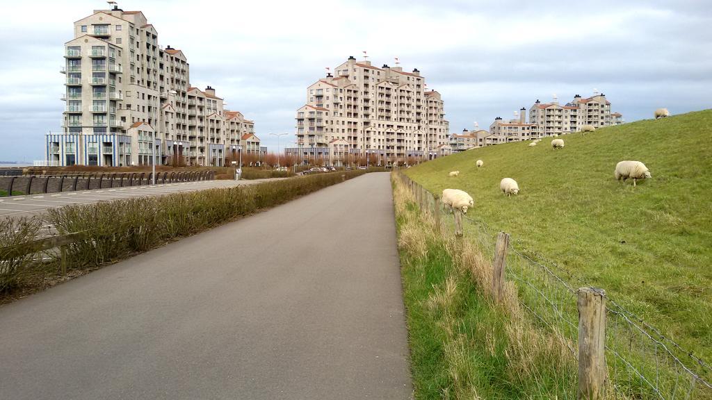 Port Scaldis Apartment Breskens Buitenkant foto